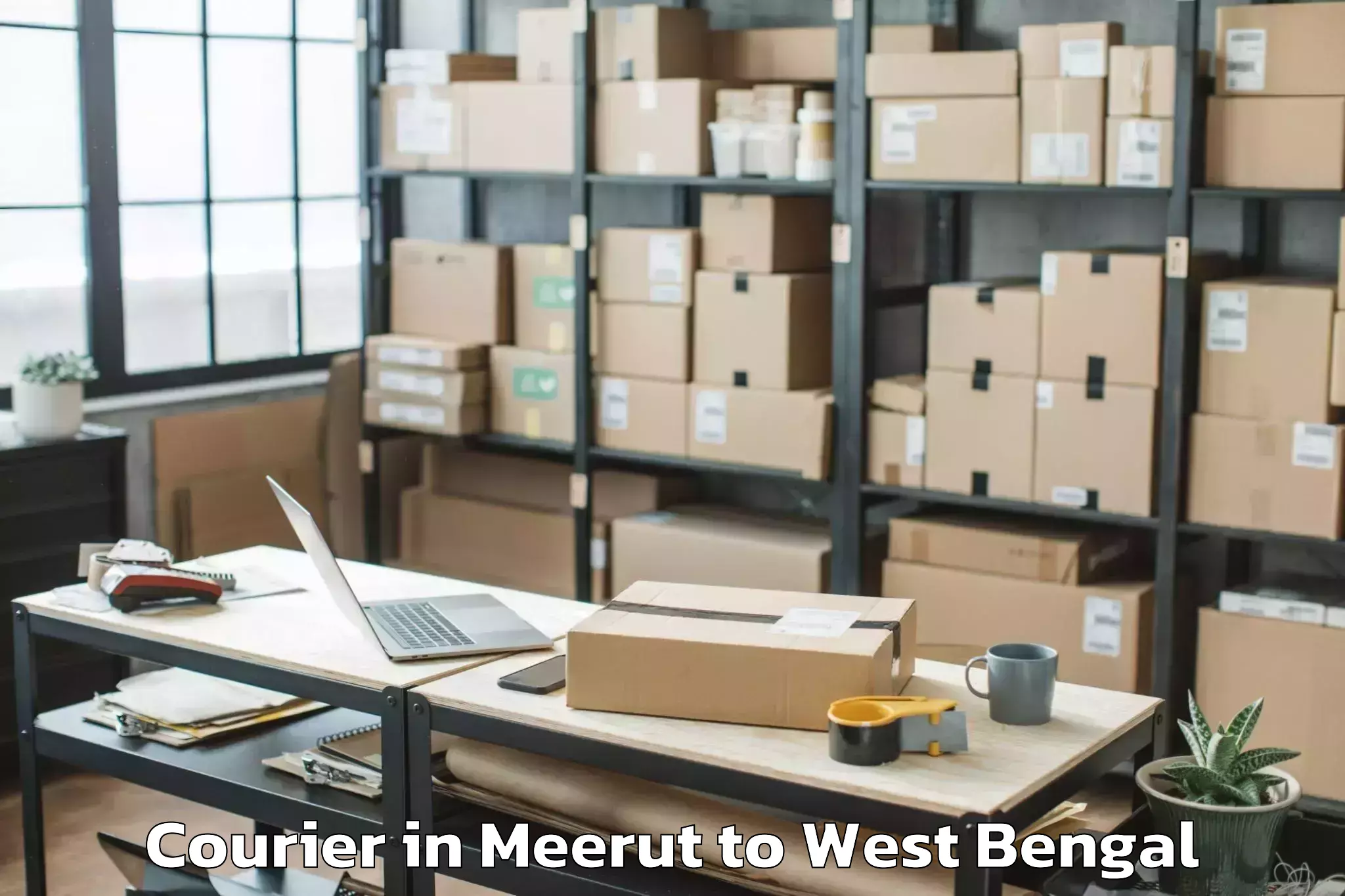 Efficient Meerut to Hilli Courier